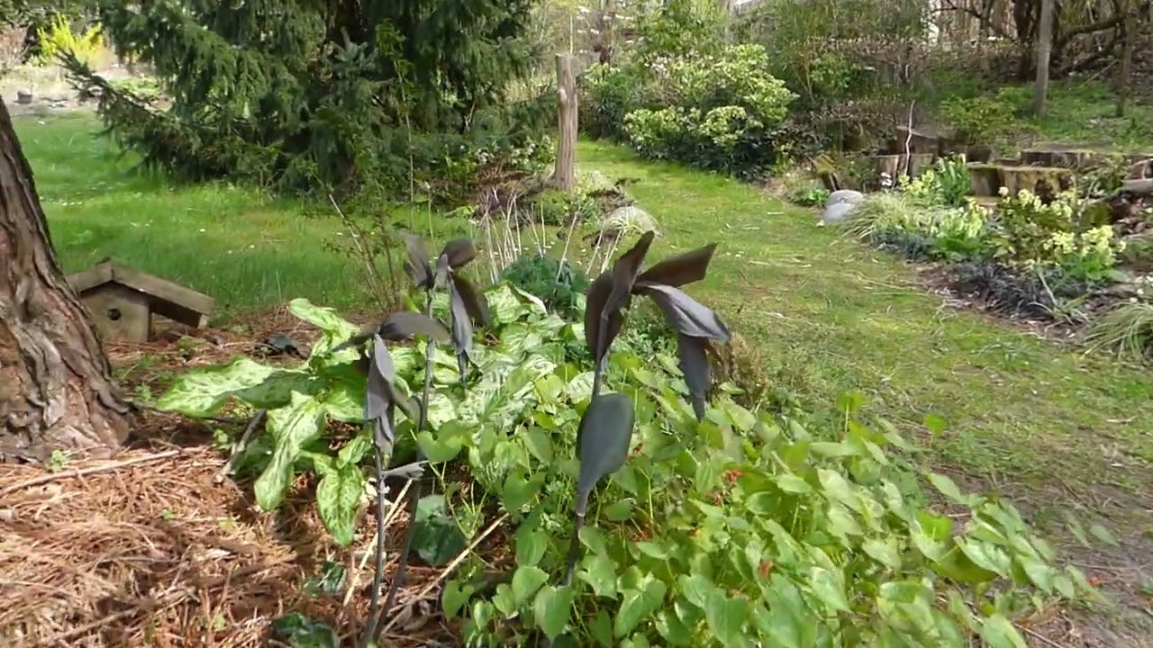 Ein Gartenrundgang im April