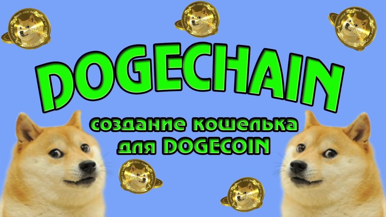 Dogechain создание кошелька для Dogecoin