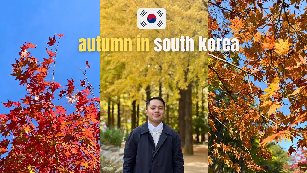 Autumn in Korea 2024: Nami Island, Rail Bike & Garden of Morning Calm  | STEVENTRAVELSPH