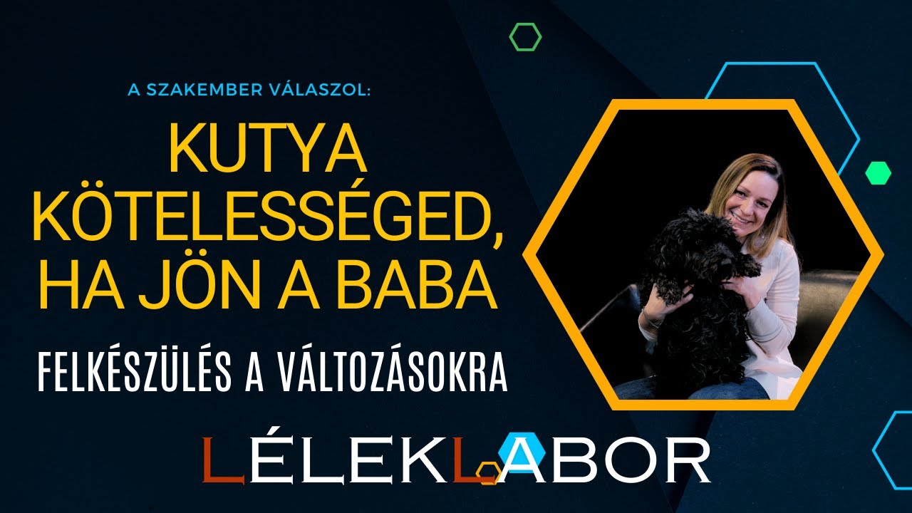 Kutya kötelességed, ha jön a baba! | egyetem tv | LélekLabor