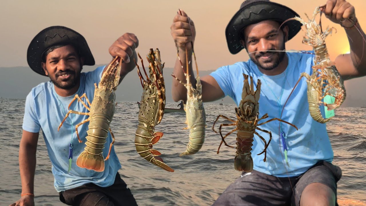 लॉबस्टर फिशिंग – समुद्रातील रोमांचक शिकार 🦞🎣   