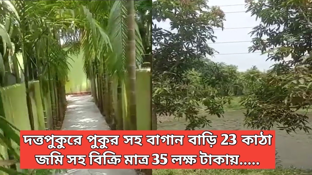 SOLD 429 দত্তপুকুরে পুকুর সহ বাগান বাড়ি 23 কাঠা জমি সহ বিক্রি| Bagan Bari with Pond Sell|