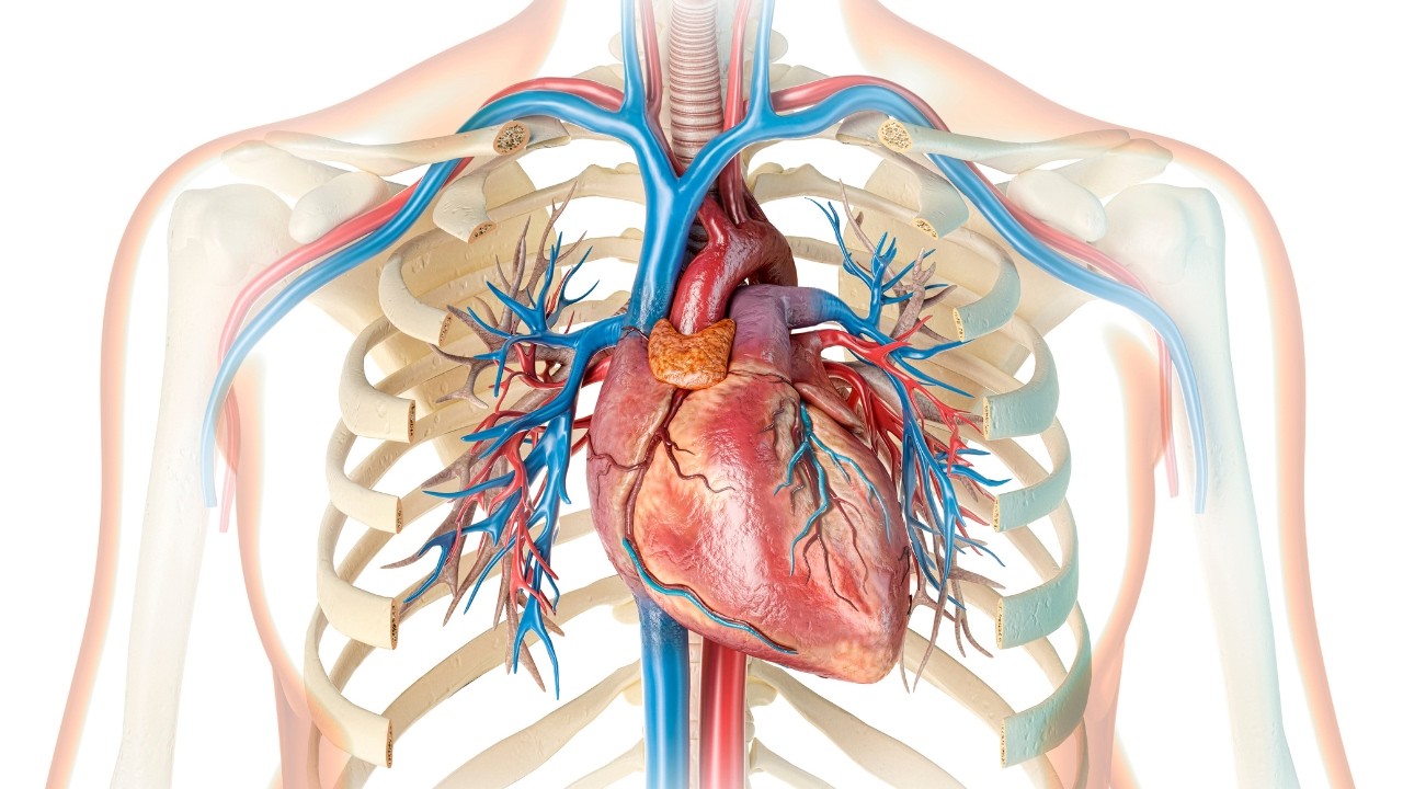 Asymptomatic QTC Elongation for the PCP