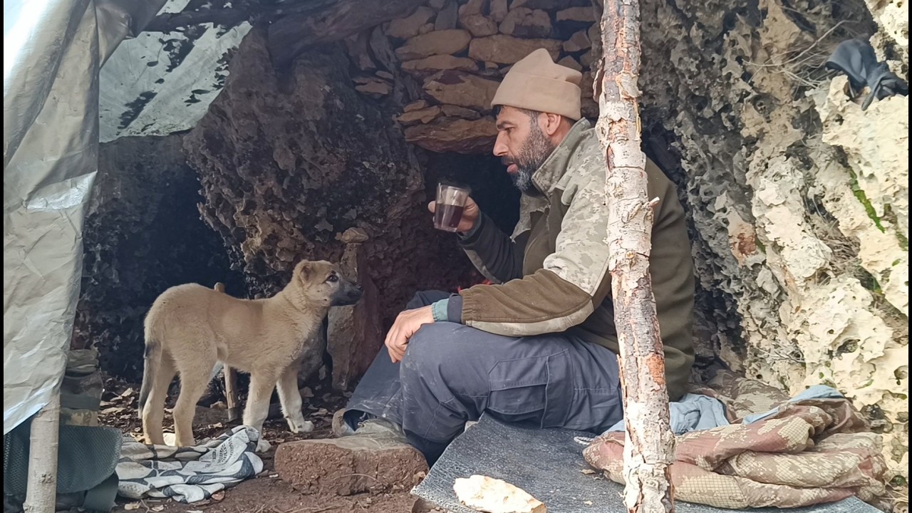 3 Nights in Nature With My Tiny Dog 🐶