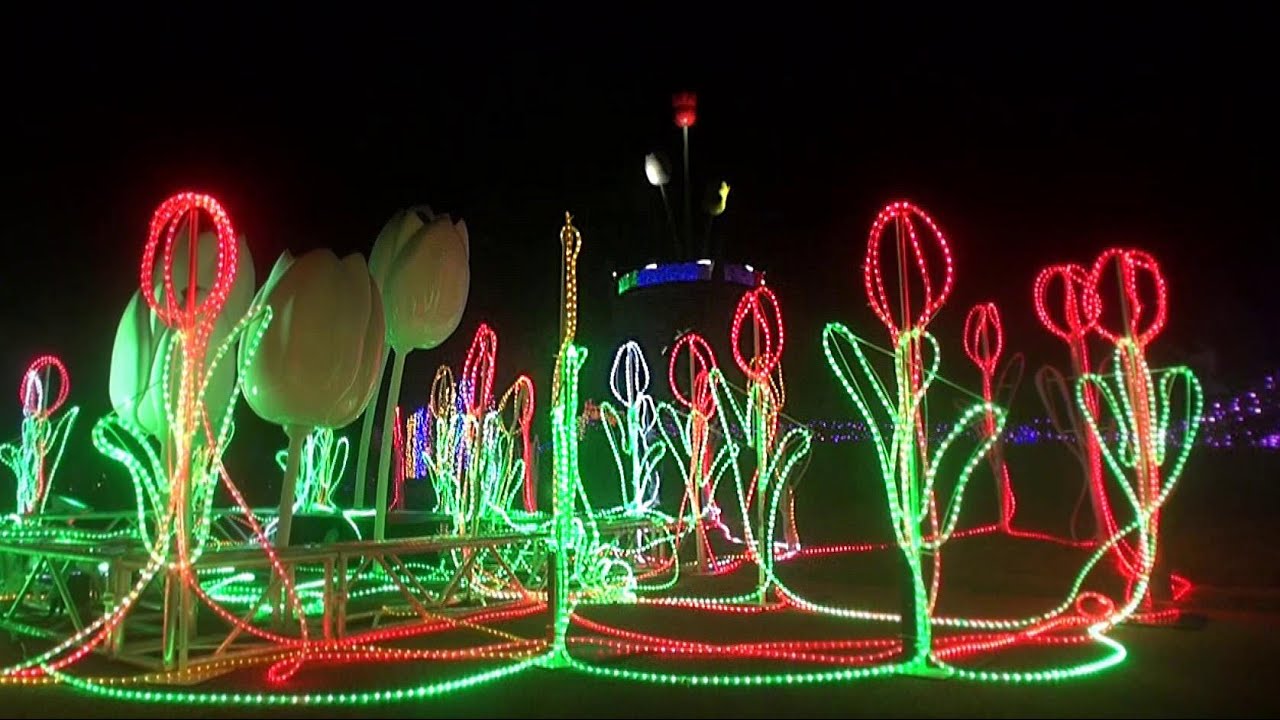 富山･砺波 となみチューリップ公園でのキラキラミッション 2025