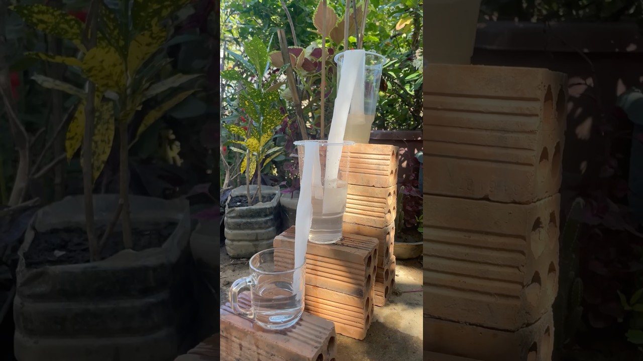Survival Skills: Amazing Dirty WaterPurification Filter. #survival #camping #lifehacks #bushcraftk