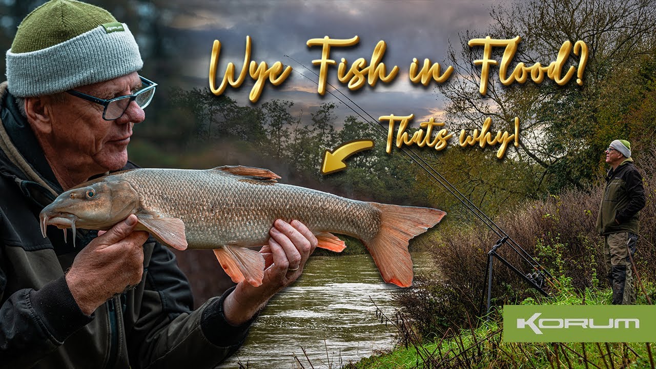 River Wye In Flood - Barbel Fishing