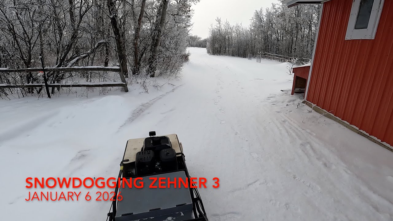 Snowdogging Zehner 3