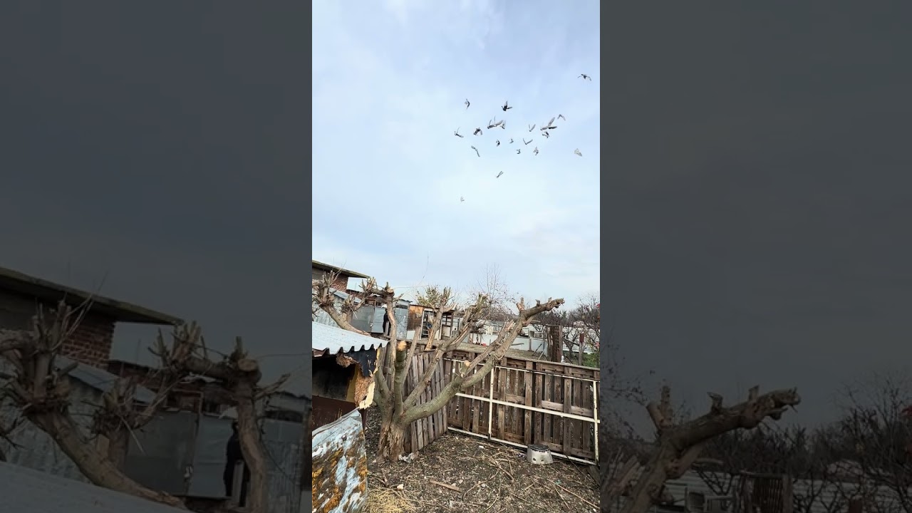 Σιδηρόπουλος Γιώργος σύλλογος φίλων θεαματικής Βούτας Βέροιας