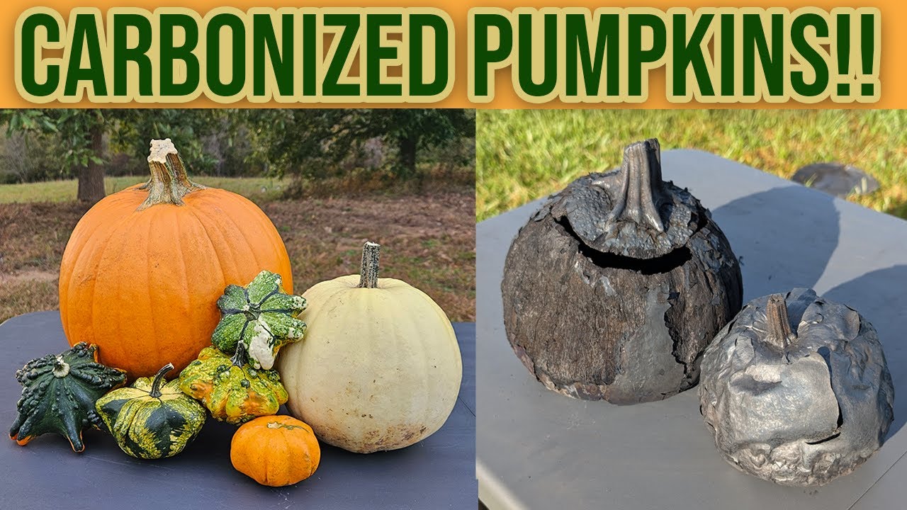 What Happens When You Carbonize a Pumpkin?