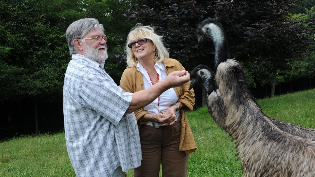 Le Refuge de l'Arche rend hommage à Mylène Demongeot