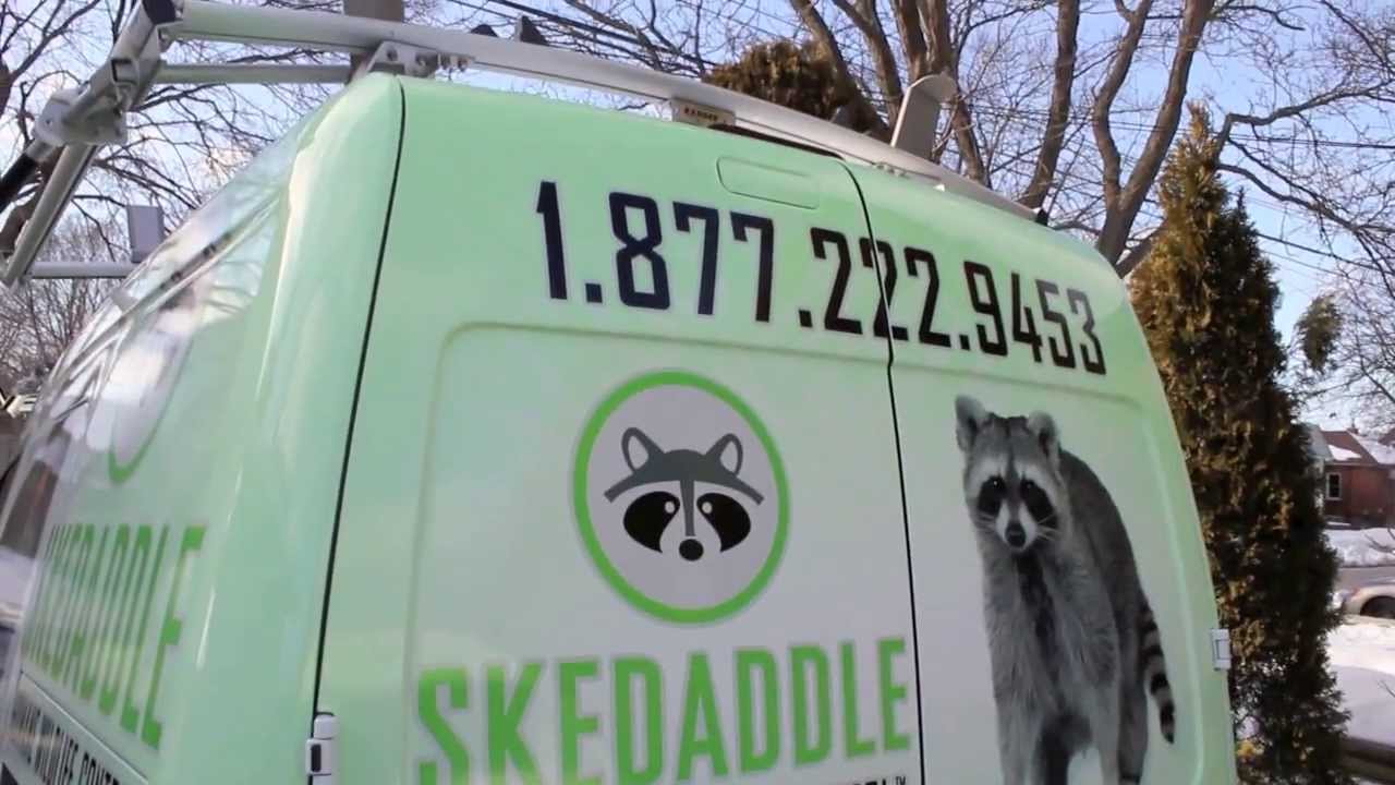 Skedaddle Humane Wildlife Control - We're Hiring