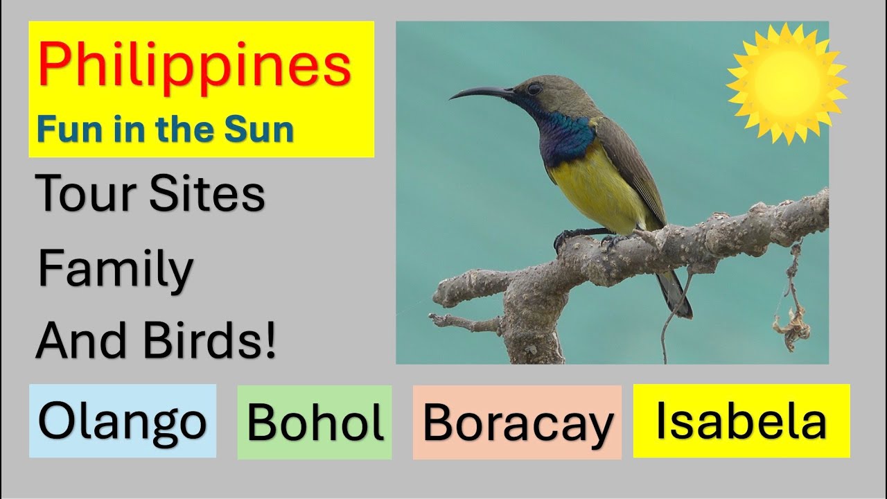 Philippines: Visiting tour Sites & family while filming birds!