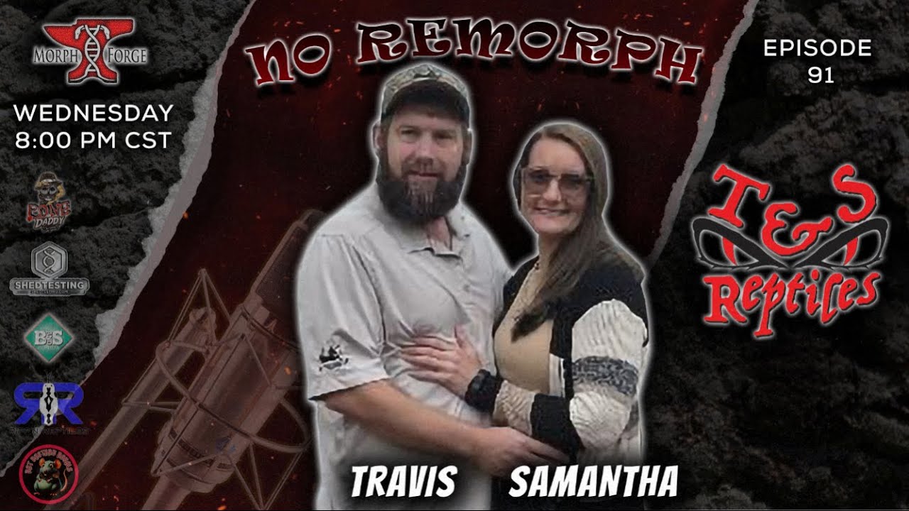 Episode 91- T&S Reptiles
