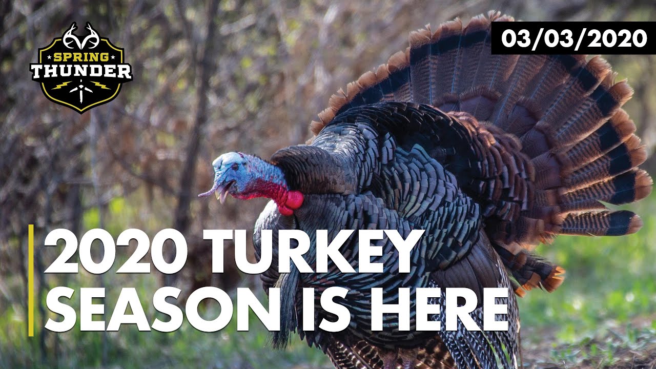 2020 Turkey Season is HERE | Scouting in Florida | Realtree's Spring Thunder