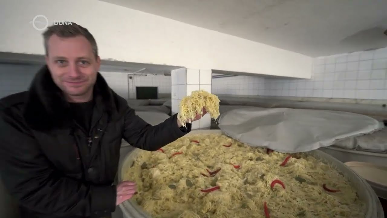 A vecsési savanyú káposzta világa | Főmenü mini