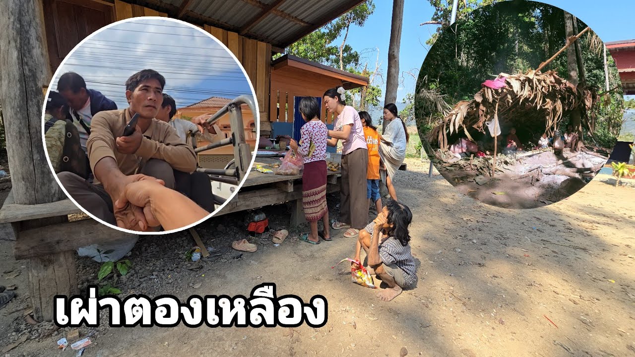 สู้ๆนะบ่าวเฟืองผู้นำพาเผ่าตองเหลืองคนใหม่ คนป่า ตองเหลึอง ຄົນປ່າ ຕອງເຫຼືອງ bn saolao 