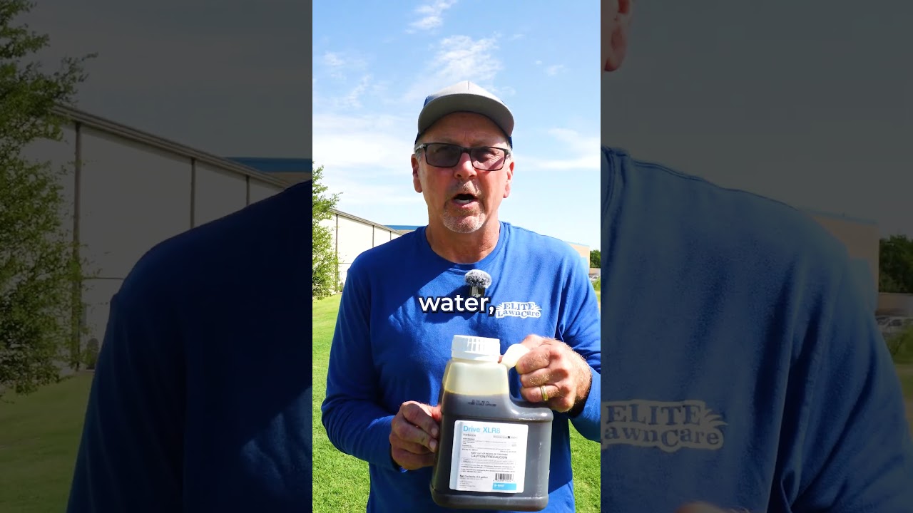 How to Get Rid of Crabgrass in Your Lawn!