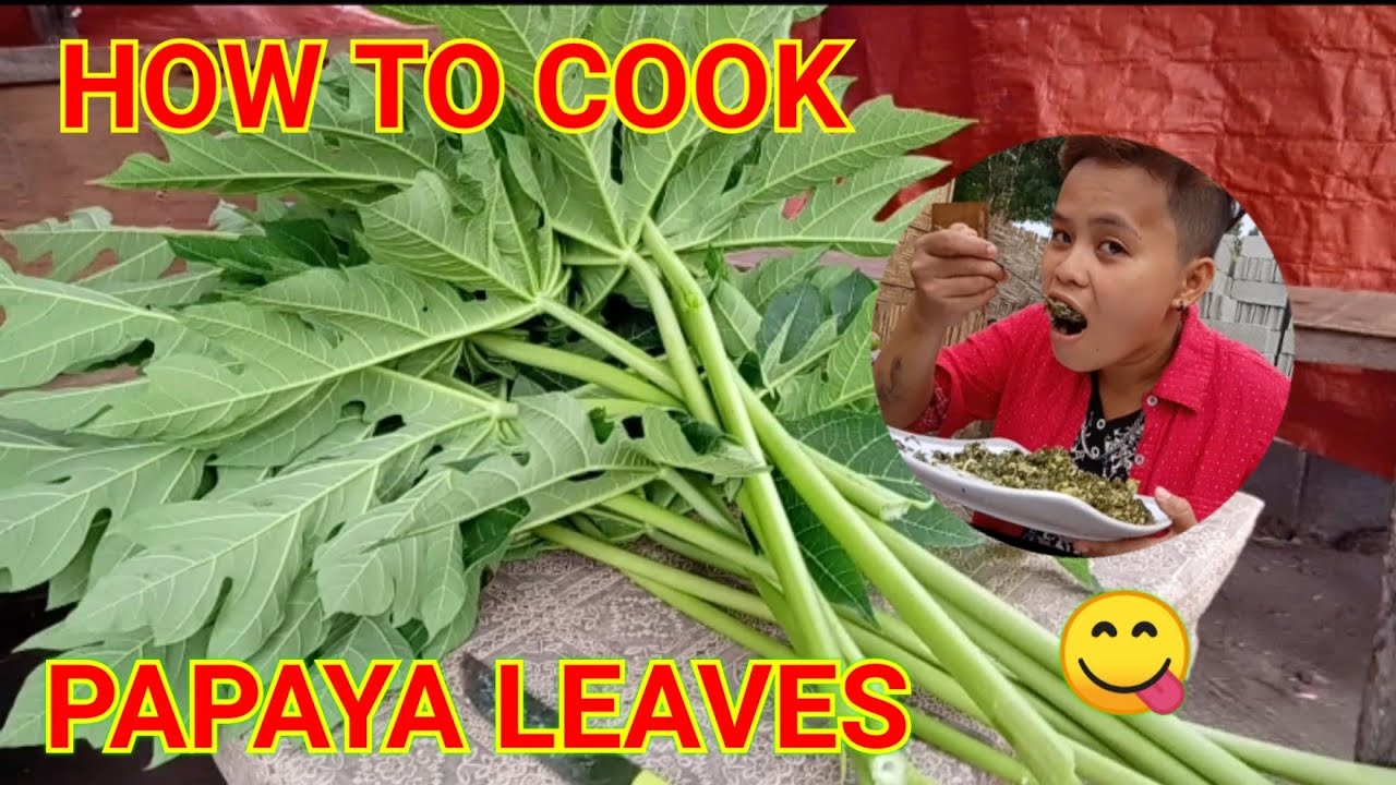 How to cook PAPAYA LEAVES (healthy) (delecious)