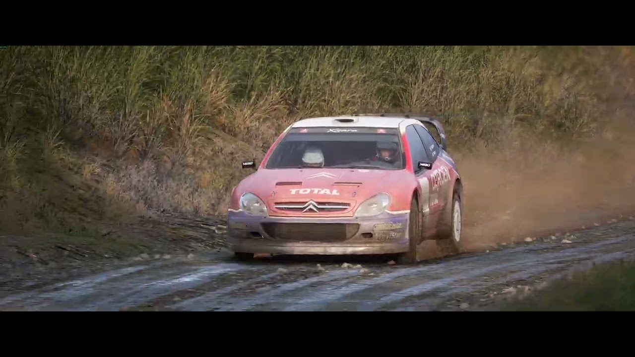 Assetto Corsa Rally  muddy forest road.