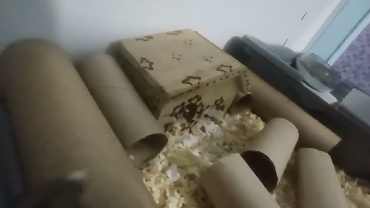 #hamster