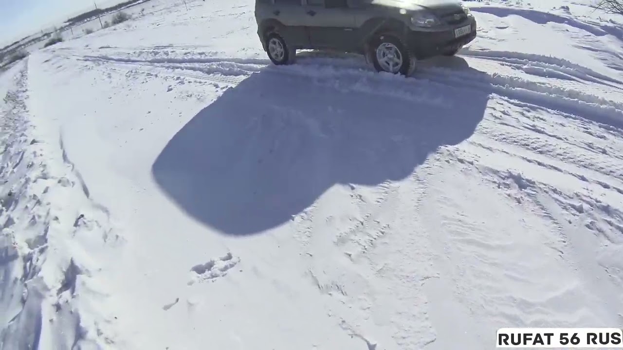 Норная движуха)))