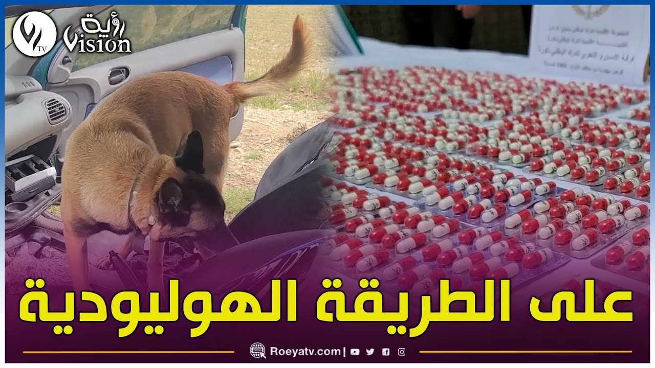 على طريقة الأفلام الهوليودية.. درك سوق أهراس يلقي القبض على مروجي المخدرات والأقراص المهلوسة