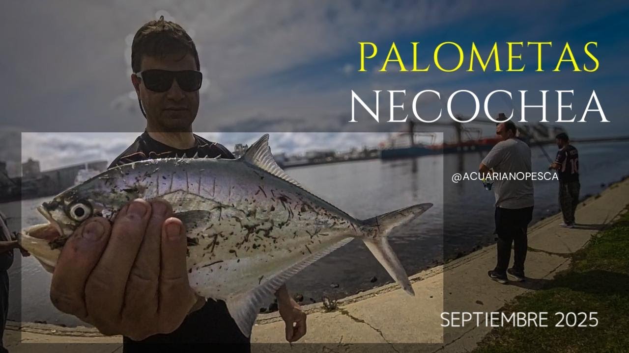 PALOMETAS 2025  UNA PESCA EXPLOSIVA