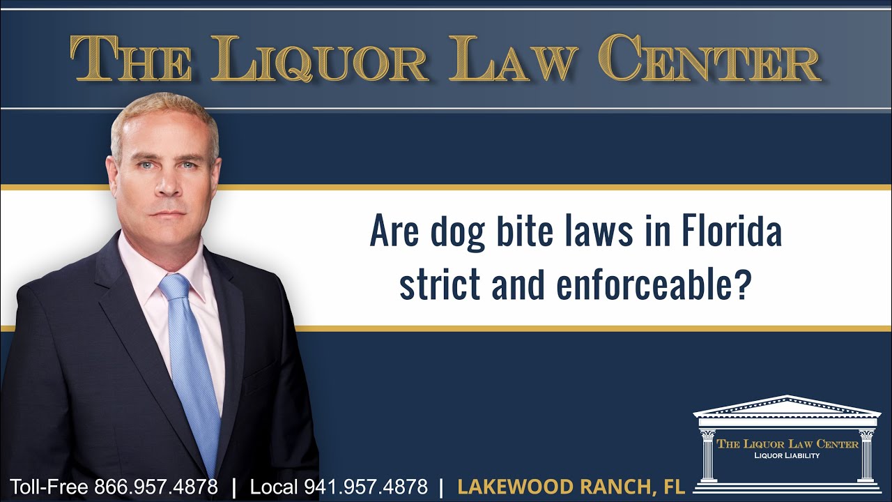 Are dog bite laws in Florida strict and enforceable?