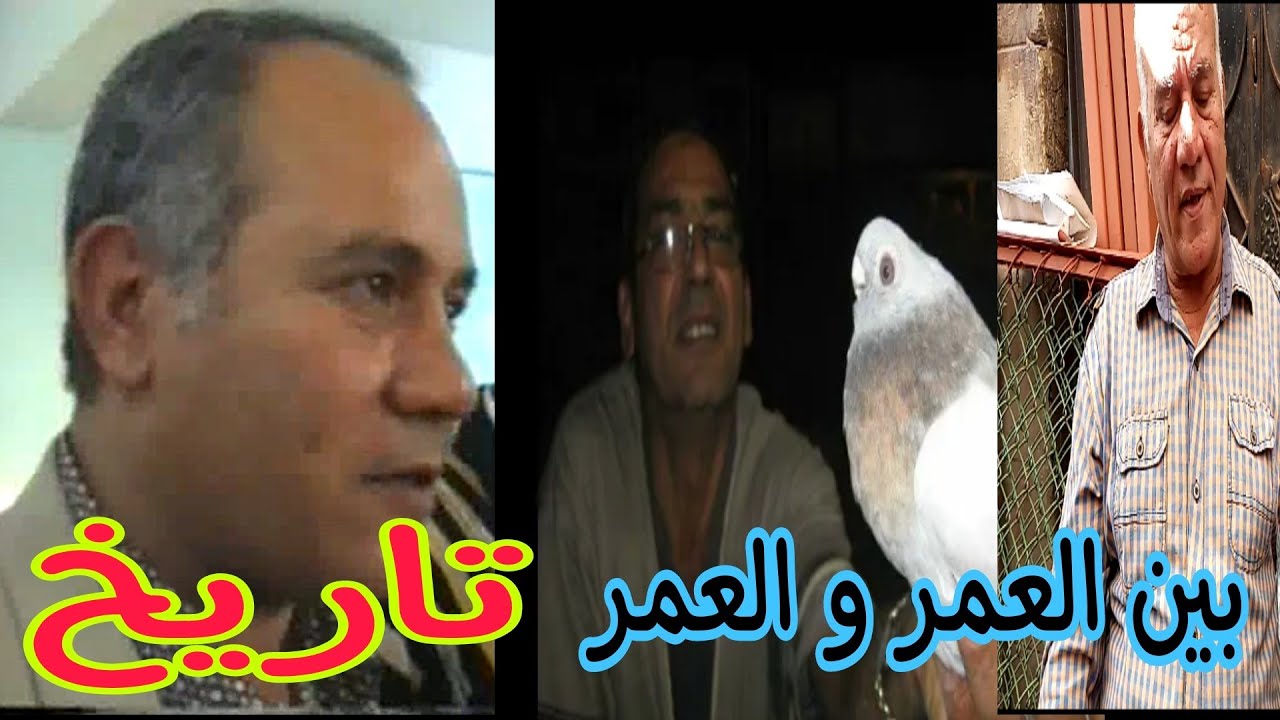 #وصفي_العراقي