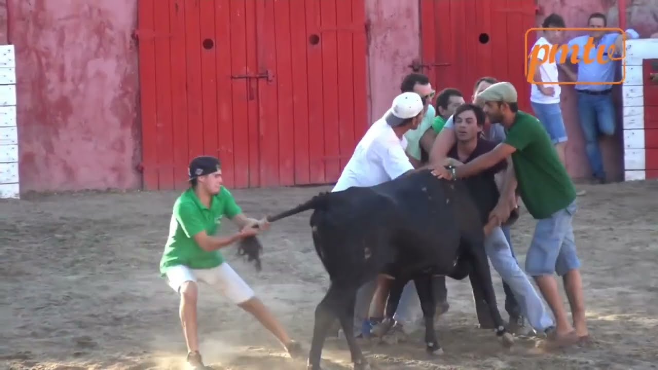 Tourada á Vara Larga (Póvoa e Meadas) (remix)👍🫶