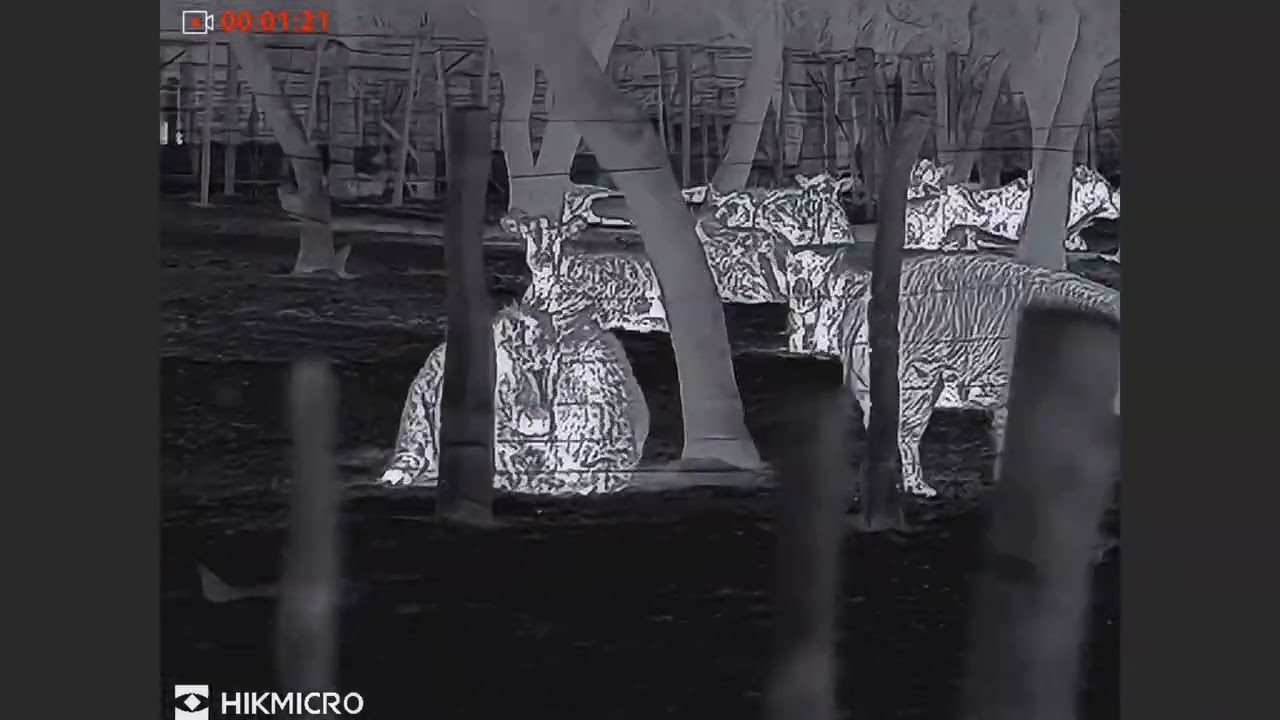 Hikmicro Thunder TH35C 3.0