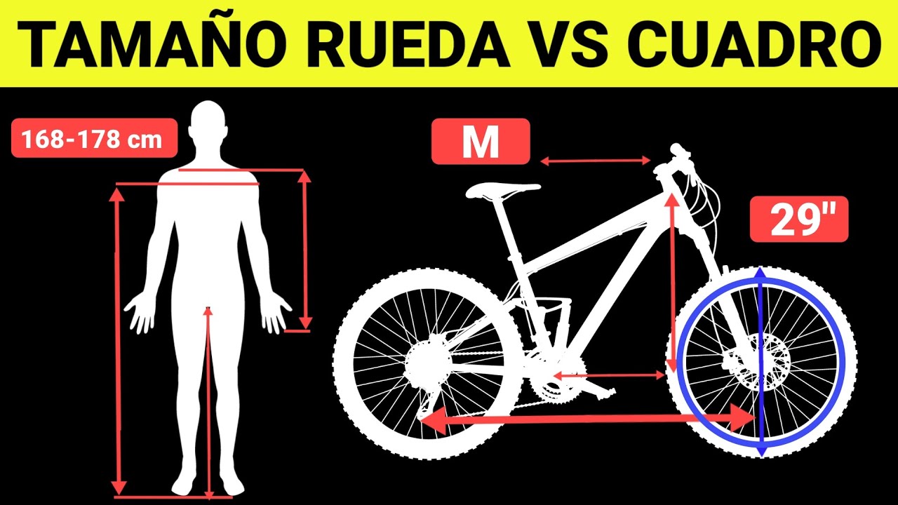 📐¿QUÉ TAMAñO DE RUEDA LE VA AL TAMAÑO DEL CUADRO? 🚲 SALUD CICLISTA