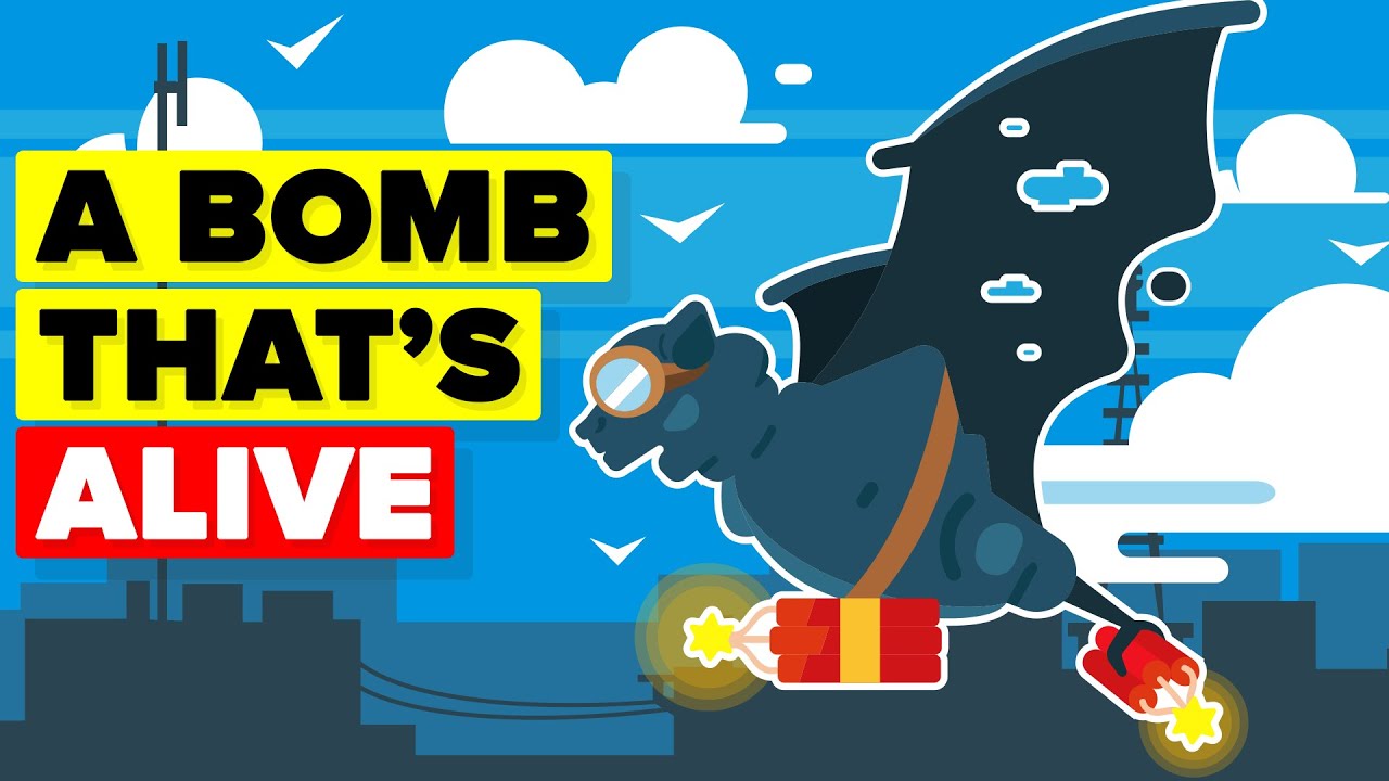 Weirdest Bomb Created By the US Military