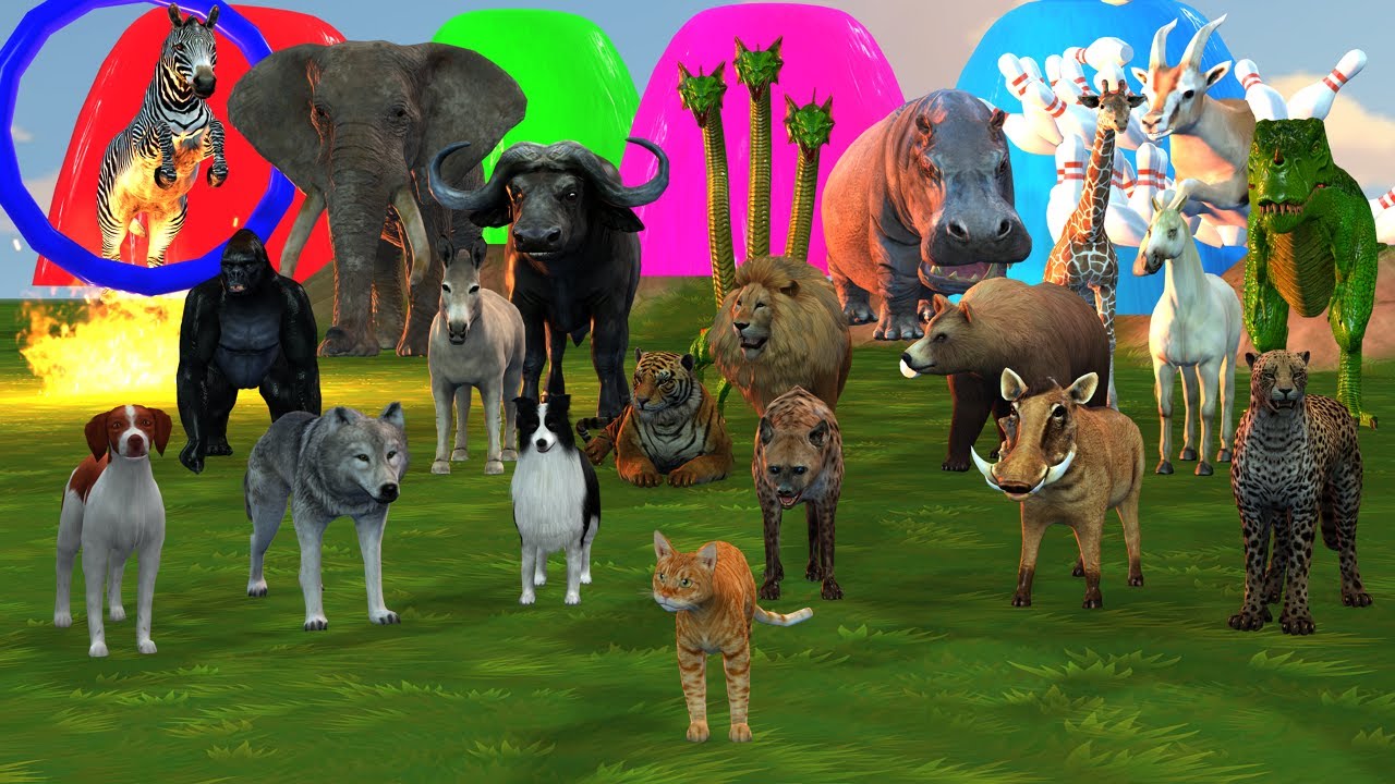 Lion Tiger Elephant Gorilla and other Wild Animals Crossing the Fountain and Escaping Game
