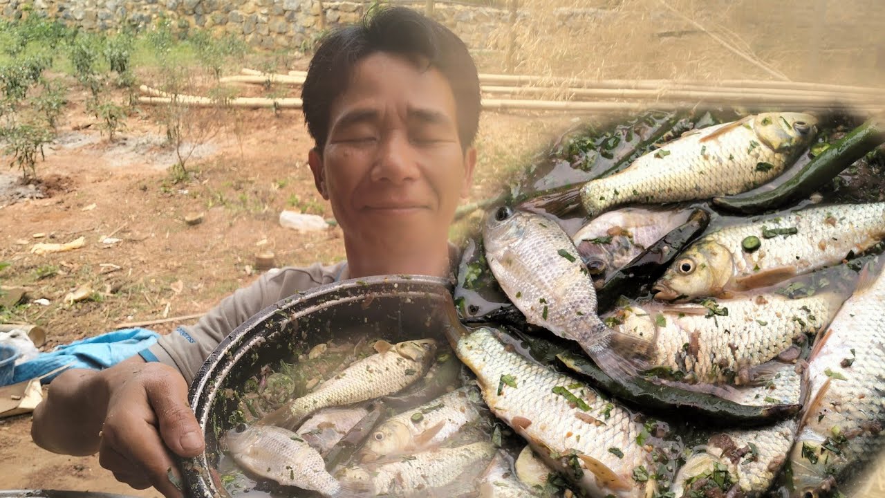 (LÁO CÒI) MỜI ANH EM LÊN CHIẾN EM NÓ.