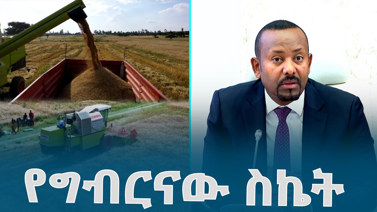 የግብርናው ስኬት @ethiopiannewsagency
