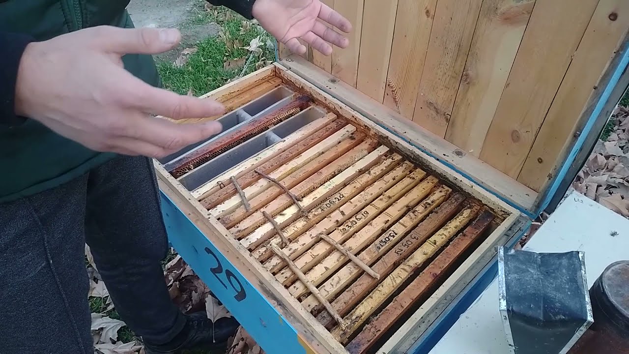 АРИЛАР ҚУШИЛГАНДА УРИШМАСЛИГИ УЧУН !!!