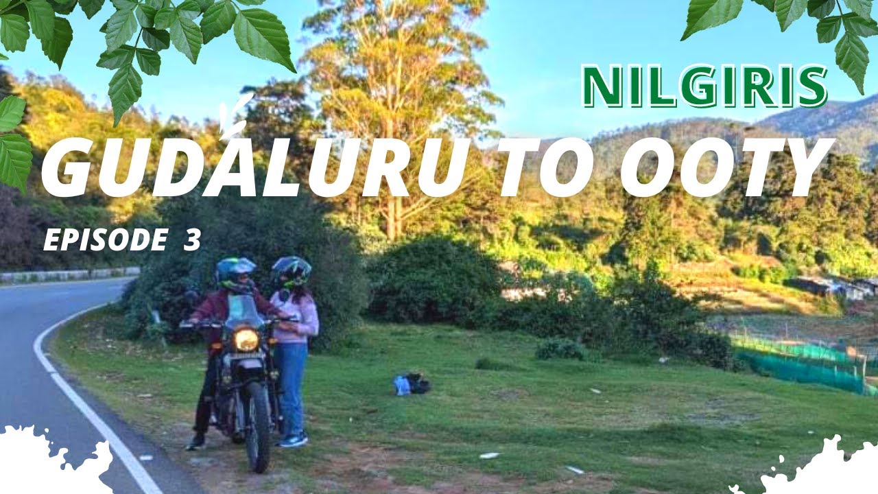Gudaluru-Ooty Exploration, Nilgiris | Ooty Trip Vlog | Ep. 03 | Himalayan 411