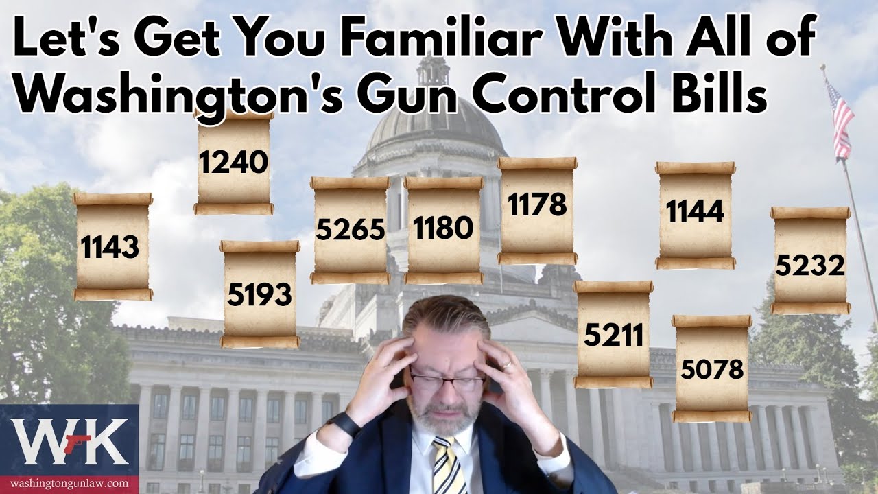 Let's Get you Familiar With All of Washington's Gun Control Bills