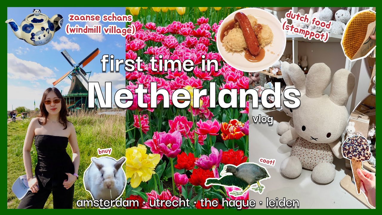 First Time in Netherlands! Dutch Food, Miffy, Madurodam, Tulips, Windmills | cozy travel vlog