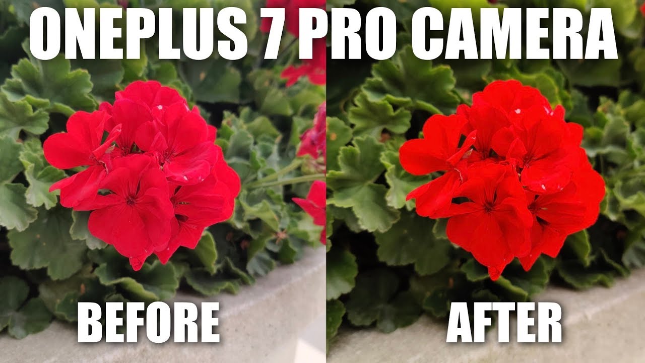 OnePlus 7 Pro Camera Review After Update (9.5.7)