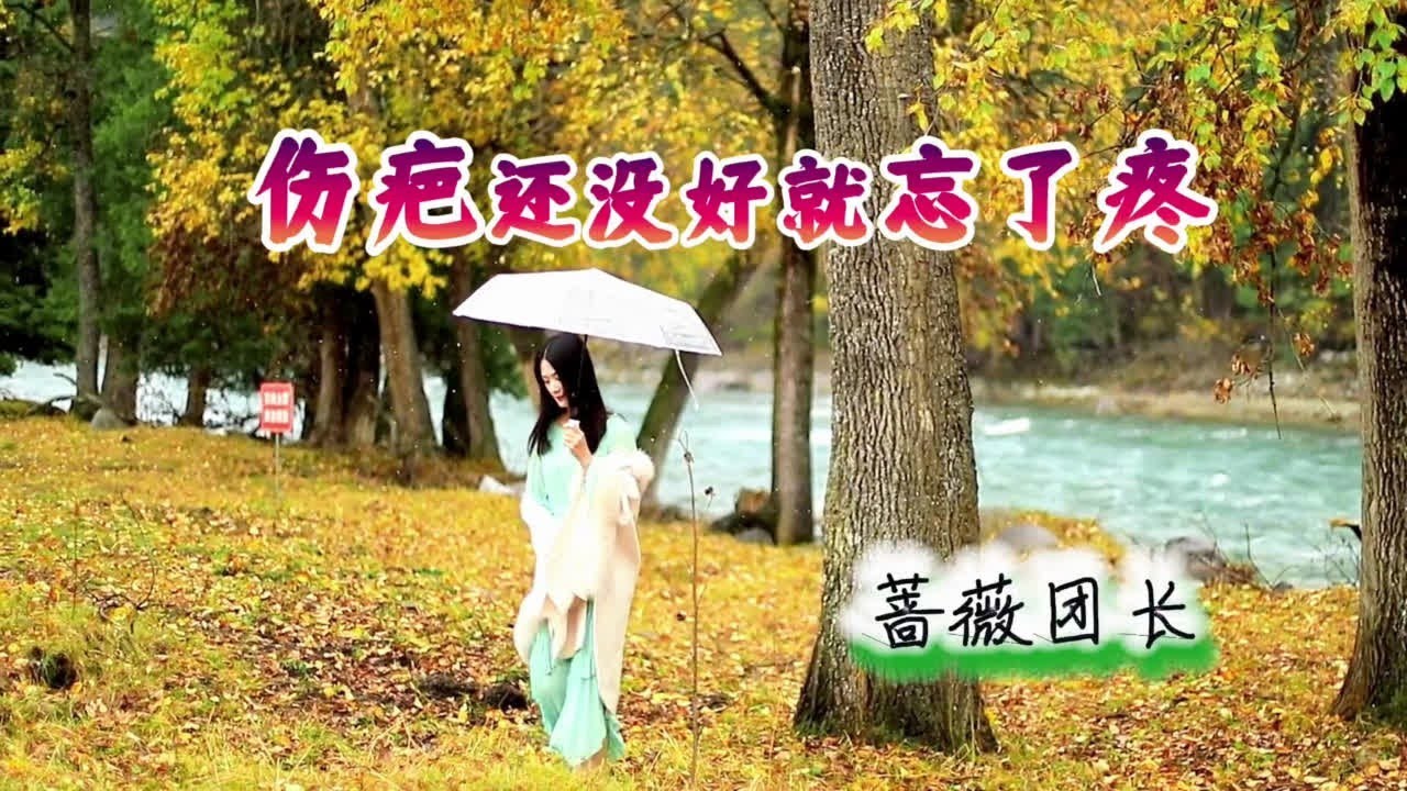 悲情苦恋的闽南韵味 百听不厌 《伤疤还没好就忘了疼》✨ 蔷薇团长