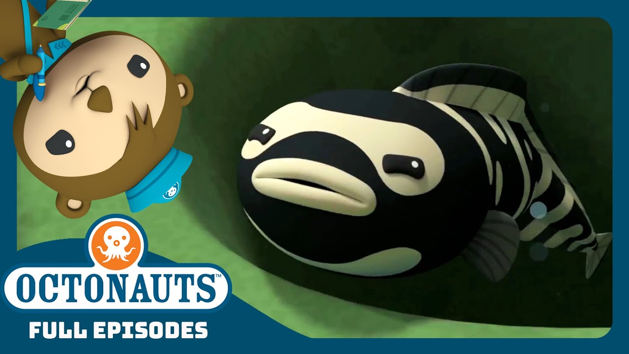@Octonauts - 🪸 The Convict Fish 🐠 | Season 4 Full Episodes | Cartoons for Kids