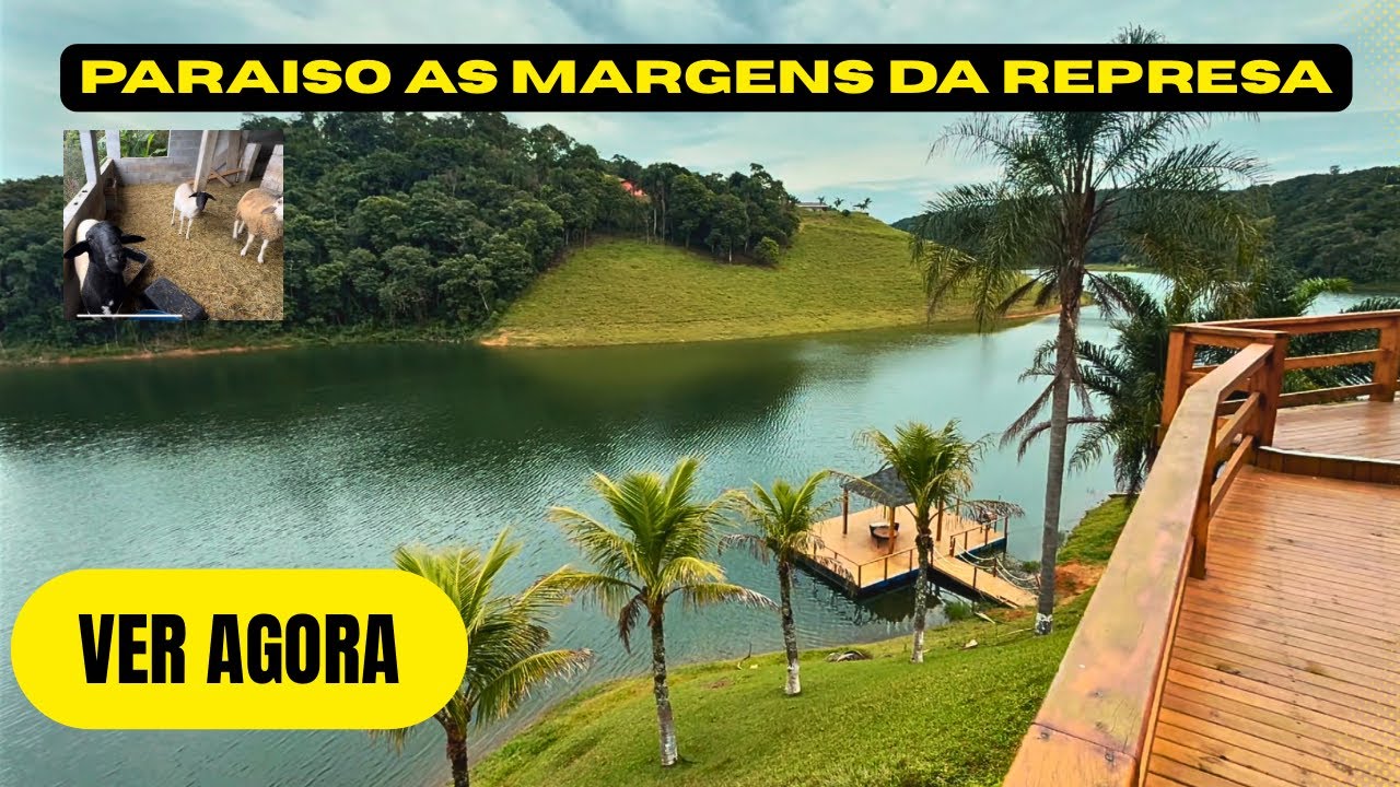 UM PARAÍSO AS MARGENS DA REPRESA COM MUITO PEIXE