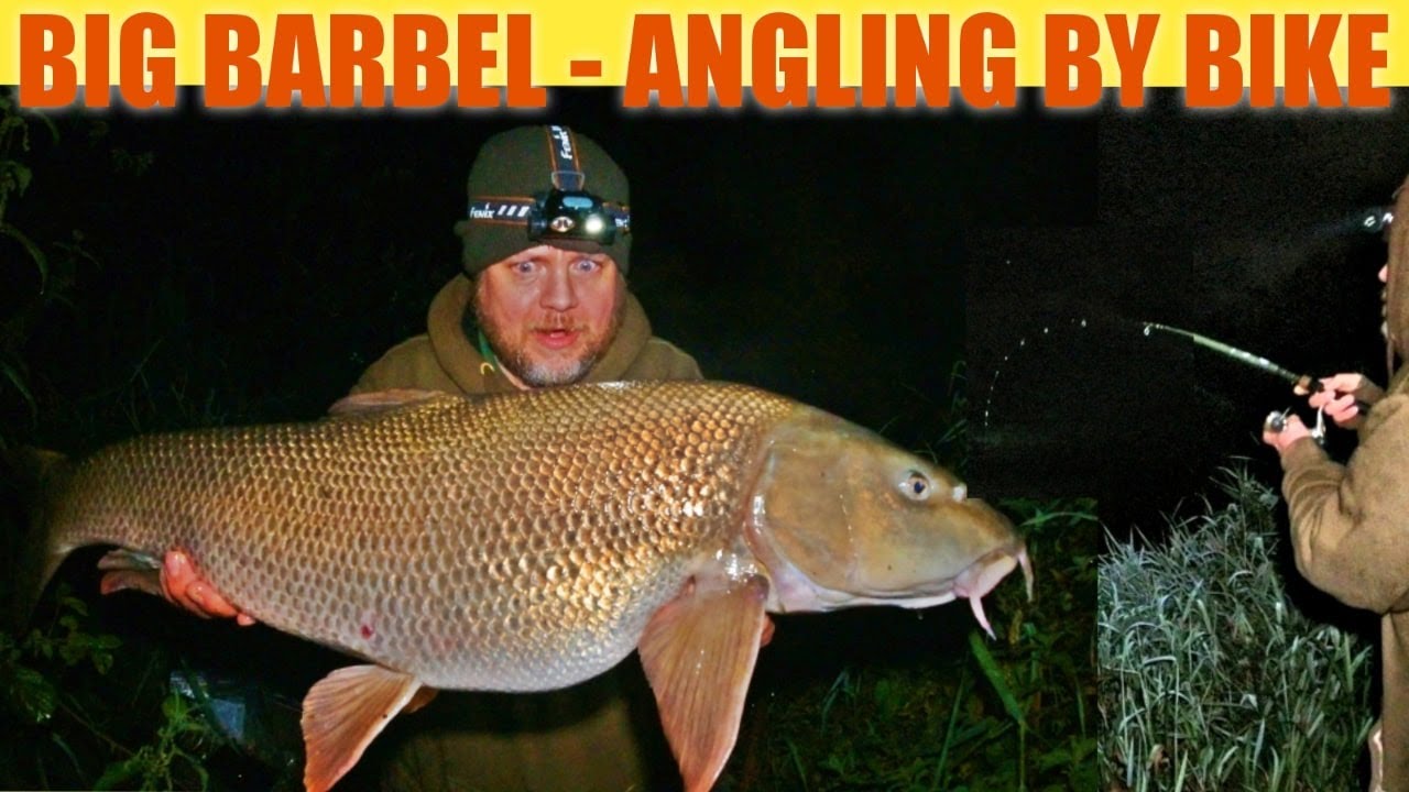 Осенняя рыбалка на усача - Река Кеннет - Ночная рыбалка на велосипеде (Видео 204)