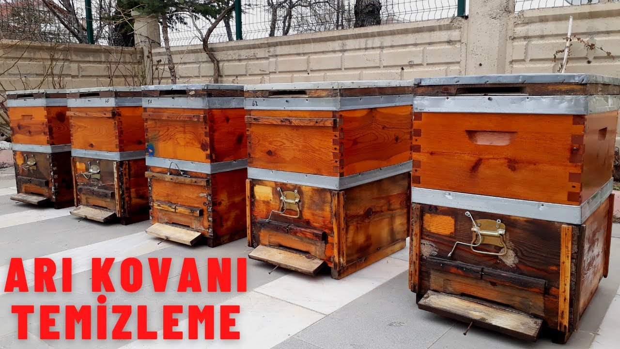 ARI KOVANI TEMİZLEME YÖNTEMLERİ ( SİLME , YAKMA , VERNİKLEME )