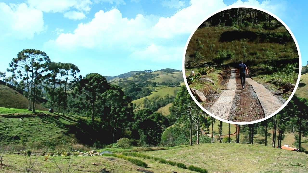 VENDIDO - TERRENO DE 22 MIL m² COM ÁRVORES FRUTÍFERAS REAIS EM DELFIM MOREIRA, MG