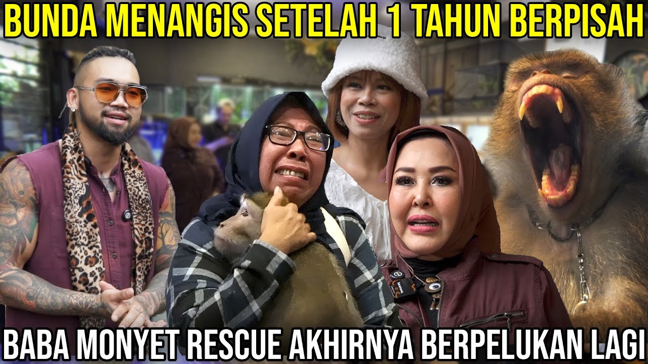 BUNDA MENANGIS SETELAH 1 TAHUN BERPISAH. BABA MONYET RESCUE AKHIRNYA BERPELUKAN #AudreyA