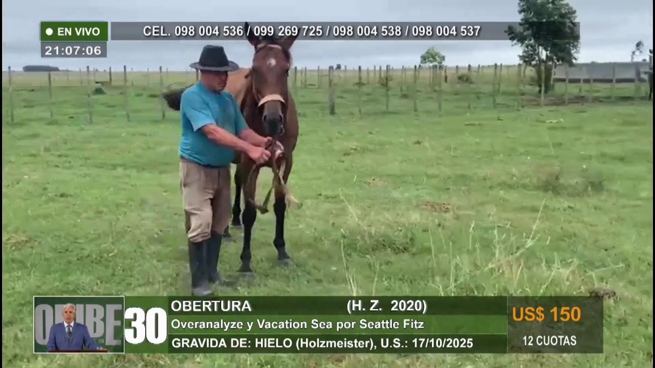 19/03/26 REMATE MIXTO I ORIBE REMATES